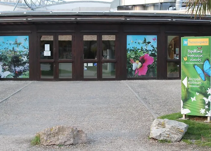 Le Phare أونفلور