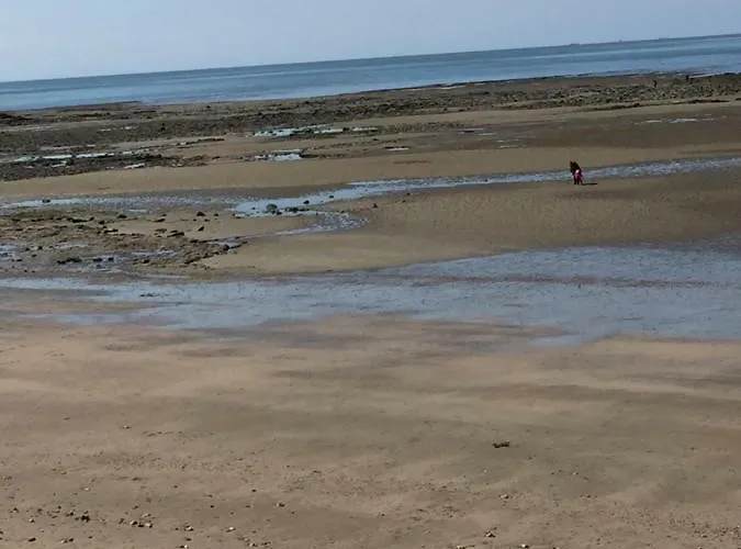 Apartment Le Phare *